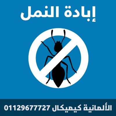 GermanyChemical_Services_02