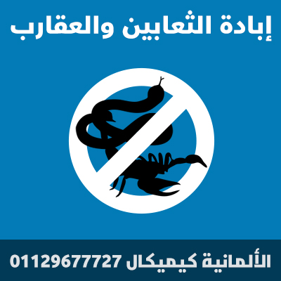 GermanyChemical_Services_06